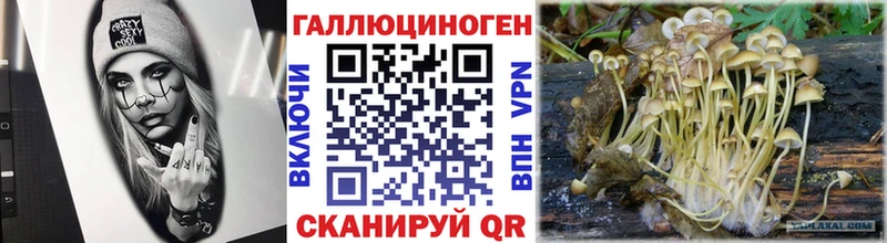 даркнет состав  Углегорск  Галлюциногенные грибы Psilocybe  купить наркоту 